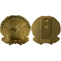 AS15 Placca Corpo Forestale Dorata by Ascot