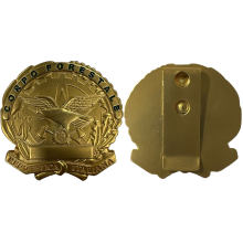 AS15 Placca Corpo Forestale Dorata by Ascot
