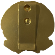 AS15 Placca Corpo Forestale Dorata by Ascot