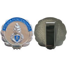 AS44/A Placca Polizia Penitenziaria Argento Satinato by Ascot