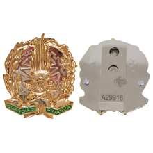 AS12 Placca Guardia di Finanza by Ascot