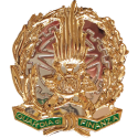 AS12 Placca Guardia di Finanza by Ascot