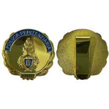 AS44/O Placca Polizia Penitenziaria Dorata by Ascot