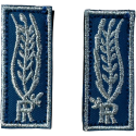 Alamari Polizia Penitenziaria