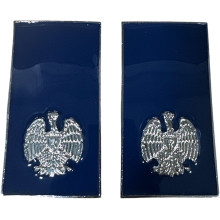 QUALIFICA Metallo Agente Polizia Penitenziaria