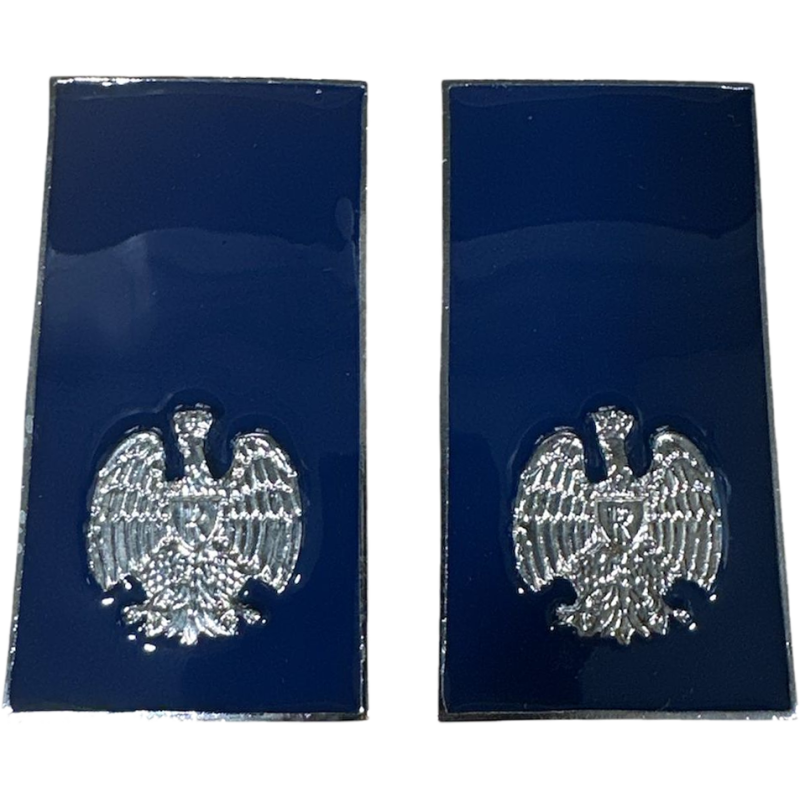 QUALIFICA Metallo Agente Polizia Penitenziaria
