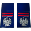 qualifiche Metallo Assistente Polizia Penitenziaria