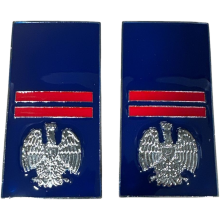qualifiche Metallo Assistente Polizia Penitenziaria