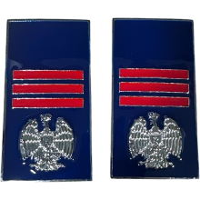 qualifiche  Metallo Assistente Capo Polizia Penitenziaria