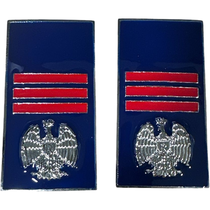 qualifiche  Metallo Assistente Capo Polizia Penitenziaria