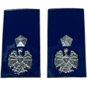 qualifica Metallo Vice Ispettore Polizia Penitenziaria
