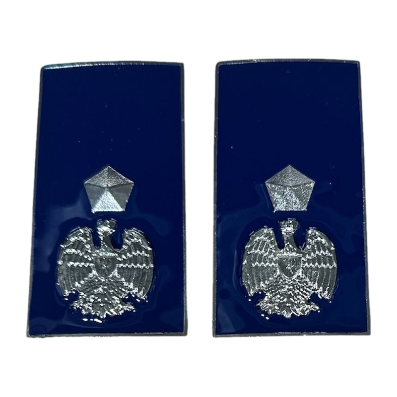 qualifica Metallo Vice Ispettore Polizia Penitenziaria