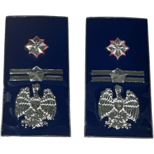qualifica Metallo Sostituto Commissario Polizia Penitenziaria