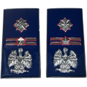 qualifica Metallo Sostituto Comm. Coord. Polizia Penitenziaria