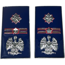 qualifica Metallo Sostituto Comm. Coord. Polizia Penitenziaria