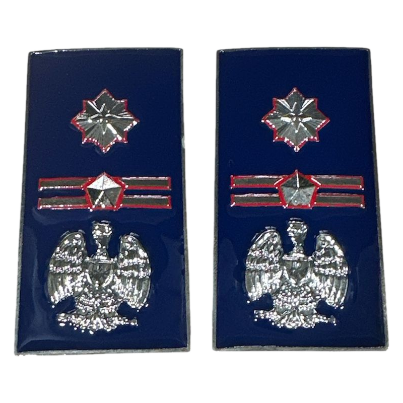 qualifica Metallo Sostituto Comm. Coord. Polizia Penitenziaria