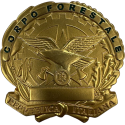 AS15 Placca Corpo Forestale Dorata by Ascot